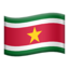 🇸🇷